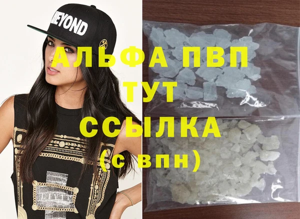 индика Мегион