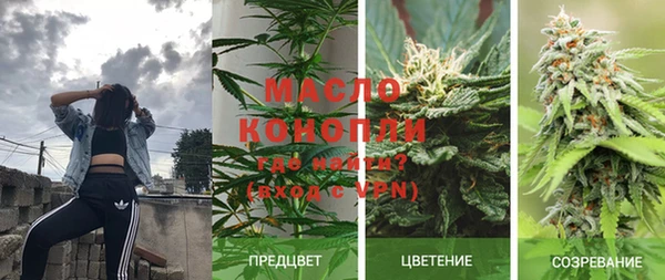 сатива Михайлов