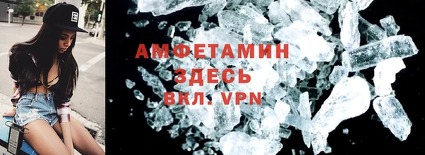 индика Мегион