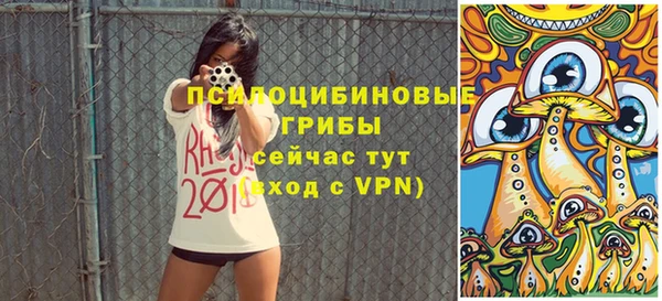 сатива Михайлов