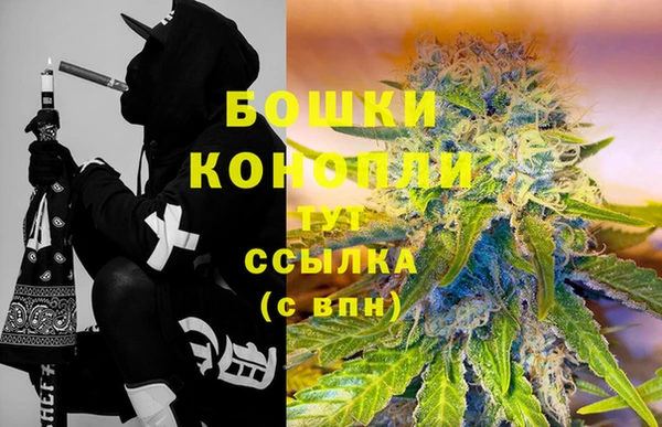 сатива Михайлов