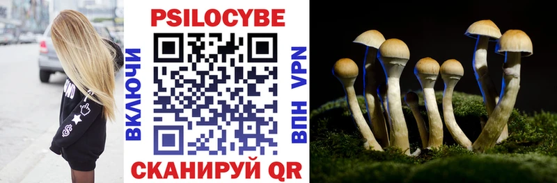 Псилоцибиновые грибы Magic Shrooms  закладки  Озёрск 